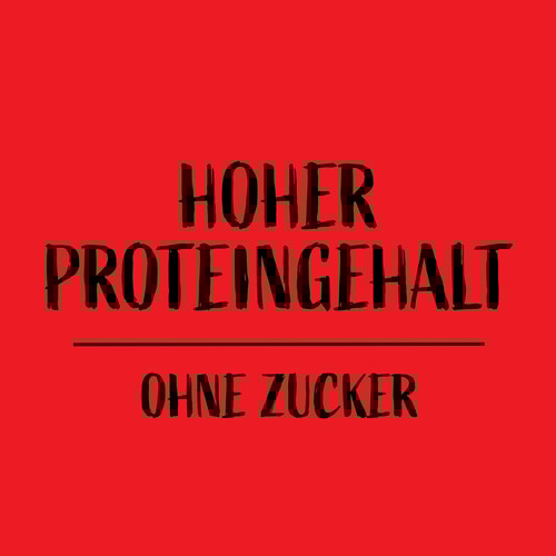 Instant-Protein-Pfannkuchen 1000 g (2)