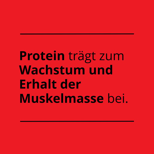 Instant-Protein-Pfannkuchen 1000 g (10)