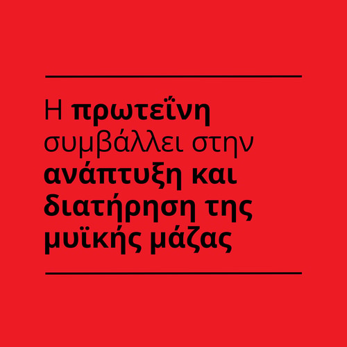 Instant Πρωτεϊνική Τηγανίτα 1000 g (10)