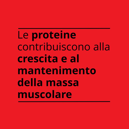 Pancake Proteici Istantanei 1000 g (10)
