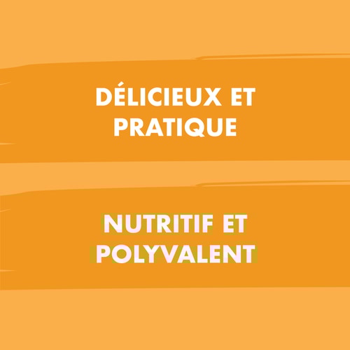 Porridge de Riz 750 g - Chocolat (3)