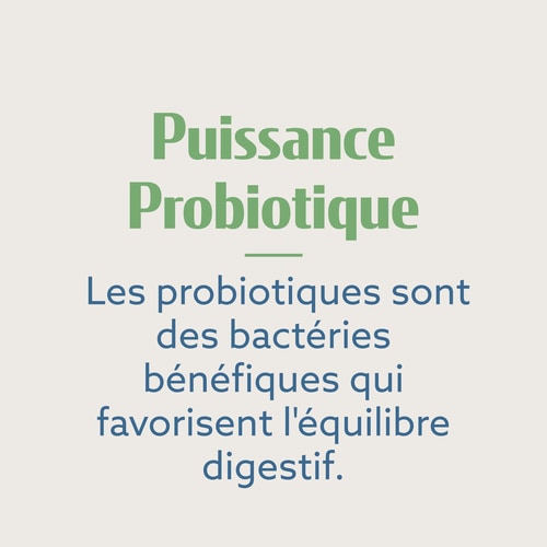 Probiotic Yogurt Starter Mix - 8 sticks (8)