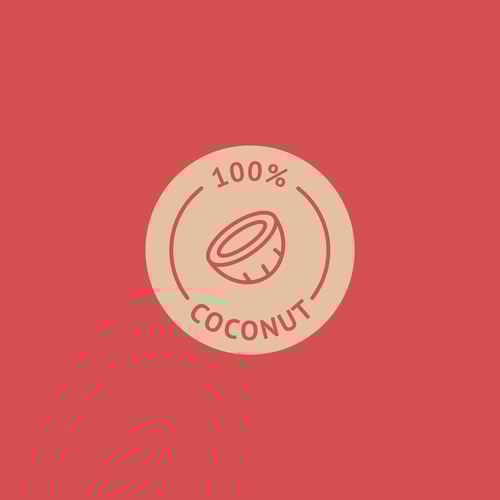 Coconut Flour 500g (4)