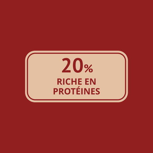Farine de Coco 500 g (6)