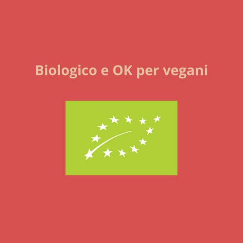 Farina di cocco 500g (8)