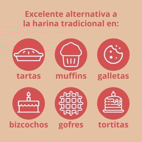 Harina de coco 500g (10)