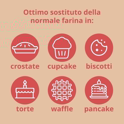 Farina di cocco 500g (10)