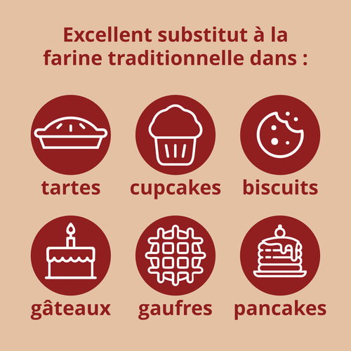 Farine de Coco 500 g (10)