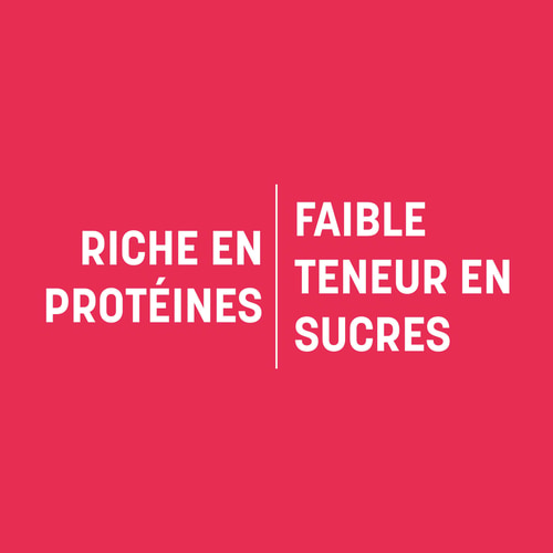 Protein Skyr 15 Doses (4)