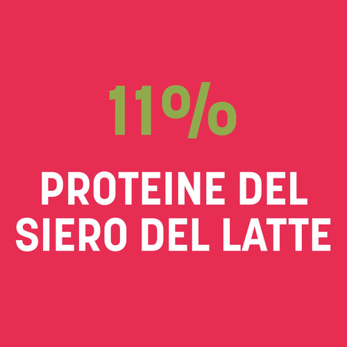 Protein Skyr 15 Dosi (9)