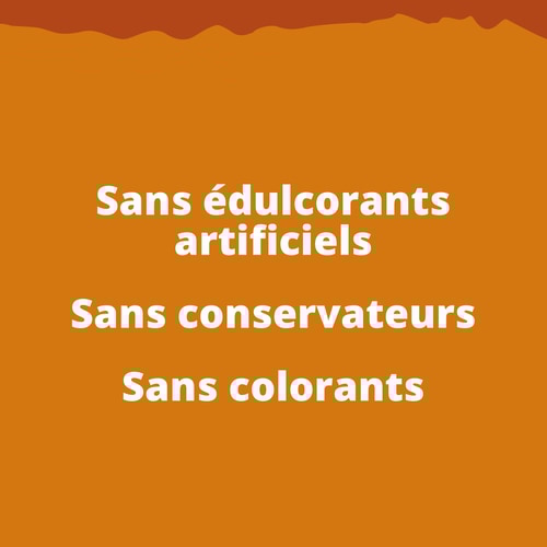 Superb Granola - Speculoos 275g (3)