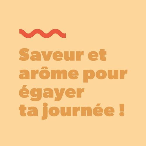 Real Flavor - Flavoring Powder 150g (8)