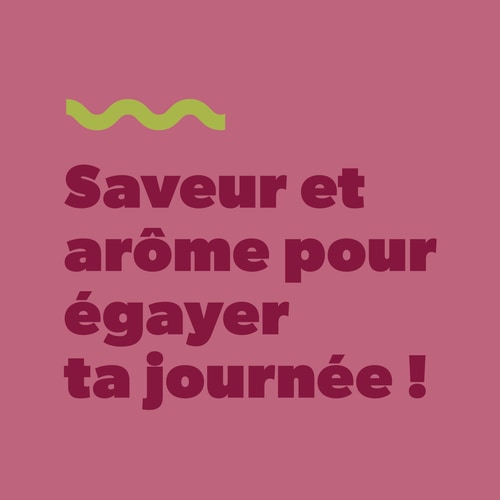 Real Flavor - Poudre Aromatisante - 8 sticks (8)