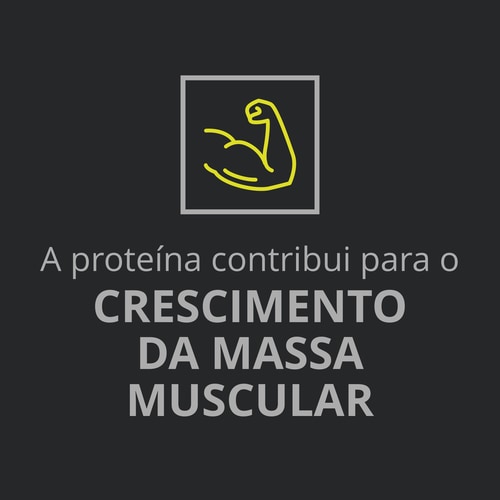 Whey Prime Protein Bar + Creatine Chocolate x 6 (8)