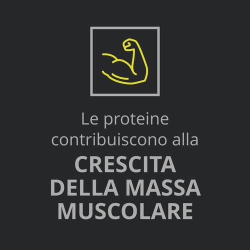 Whey Prime Protein Bar + Creatine Chocolate x 6 (8)