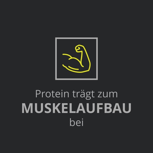 Whey Prime Protein Bar + Creatine Chocolate x 6 (8)