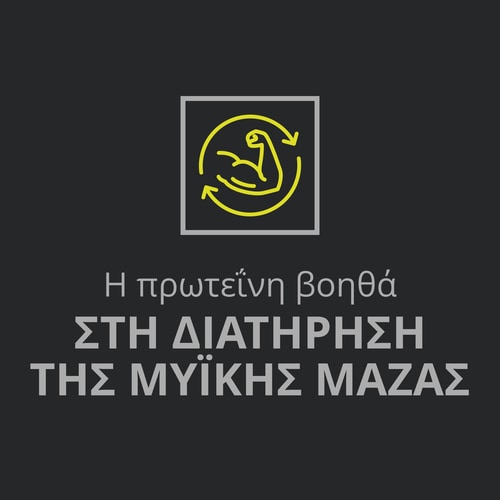 Whey Prime Protein Bar + Creatine Chocolate x 6 (9)