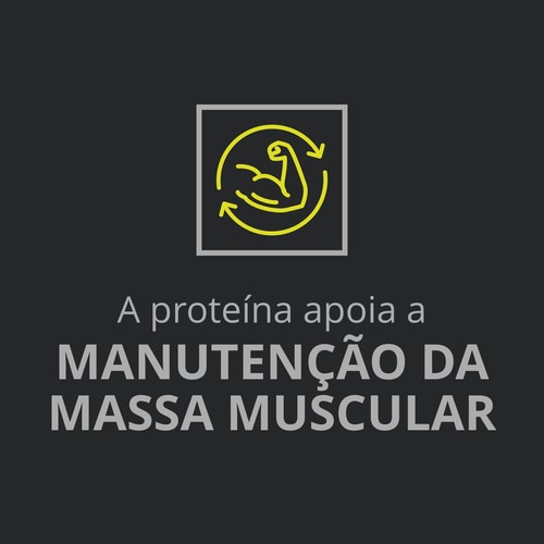 Whey Prime Protein Bar + Creatine Chocolate x 6 (9)