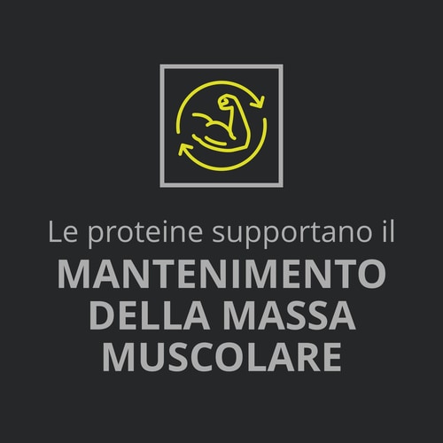 Whey Prime Protein Bar + Creatine Chocolate x 6 (9)