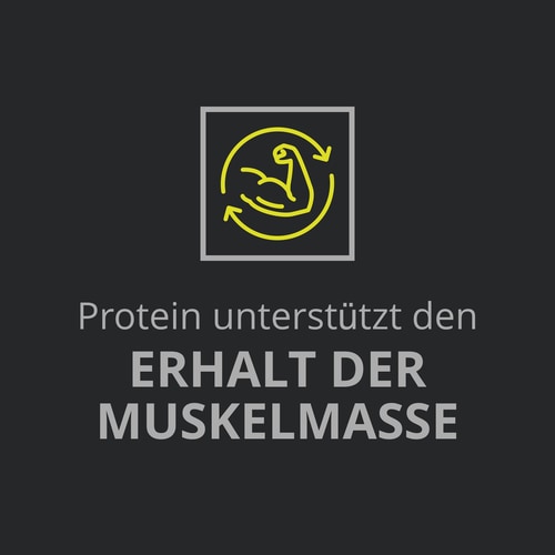 Whey Prime Protein Bar + Creatine Chocolate x 6 (9)