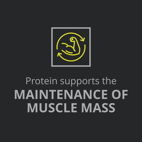 Whey Prime Protein Bar + Creatine Chocolate x 6 (9)