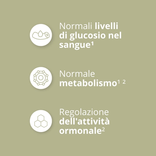 Berberina 30 capsule vegane (4)