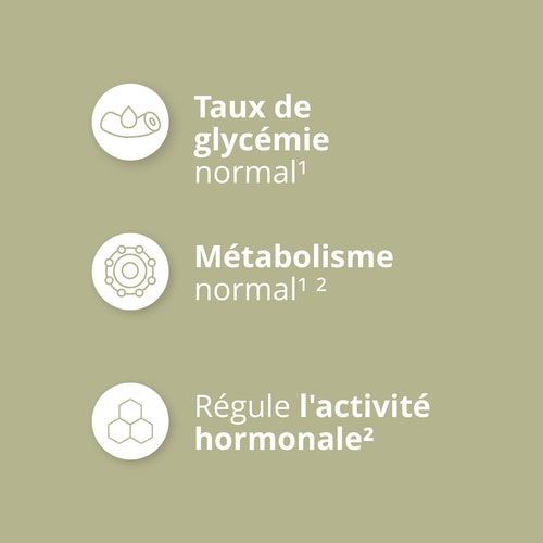 Berbérine 30 gélules végétaliennes (4)
