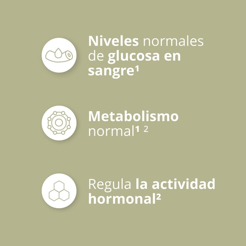Berberina 30 cápsulas veganas (4)