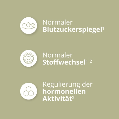 Berberin 30 vegane Kapseln (4)