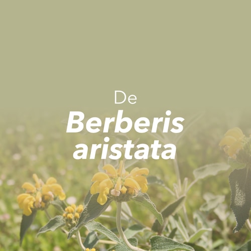 Berberina 30 cápsulas vegan (7)