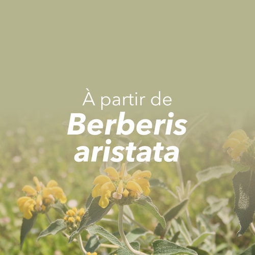 Berbérine 30 gélules végétaliennes (7)