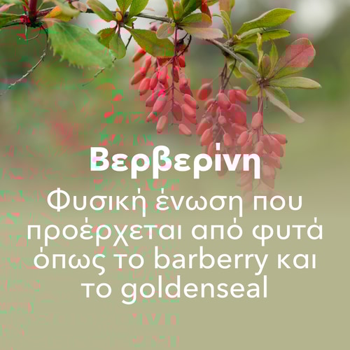 Berberine 30 Veg Caps (8)