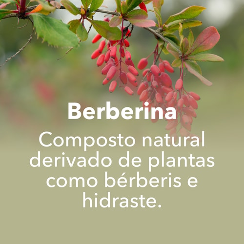 Berberina 30 cápsulas vegan (8)