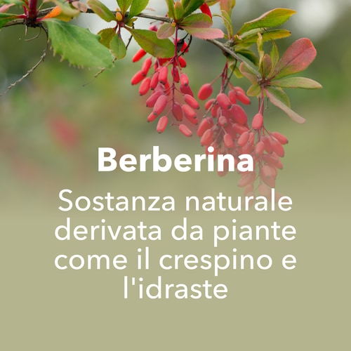Berberina 30 capsule vegane (8)