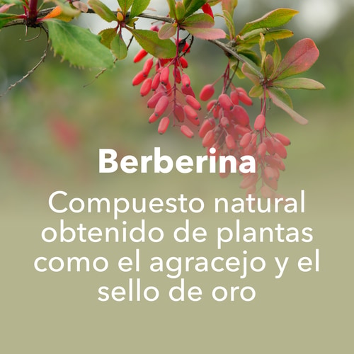 Berberina 30 cápsulas veganas (8)
