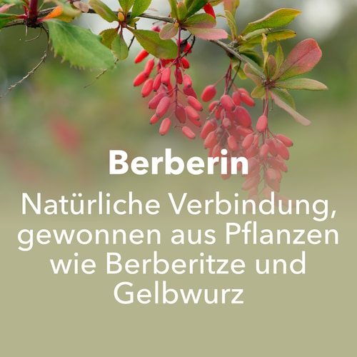Berberin 30 vegane Kapseln (8)