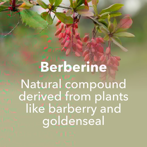 Berberine 30 Veg Caps (8)