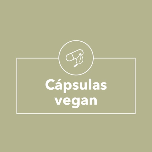 Berberina 30 cápsulas vegan (9)