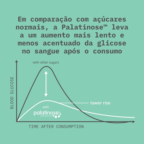 Palatinose™ 907g (6)