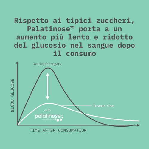 Palatinose™ 907g (6)