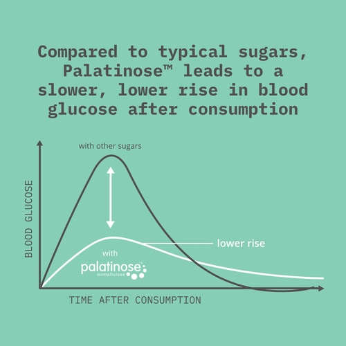 Palatinose™ 907g (6)