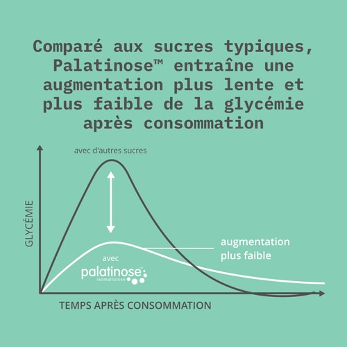Palatinose™ 907g (6)