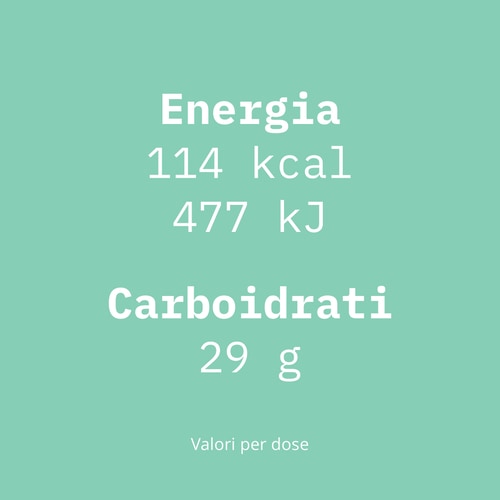 Palatinose™ 907g (7)