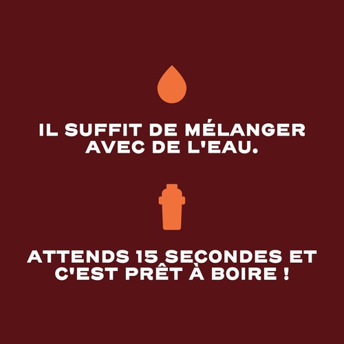 Clear Whey Isolate - Peach Ice Tea 500g (8)