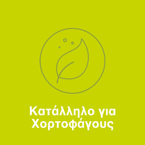 DigeZyme® 160 mg 90 φυτικές κάψουλες (7)
