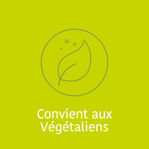 DigeZyme® 160 mg 180 gélules végétaliennes (7)