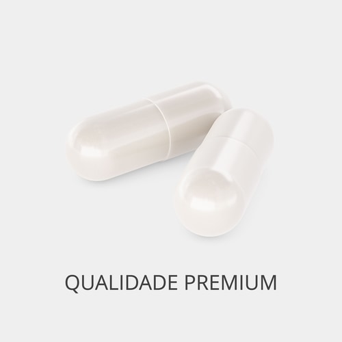 Gengibre 1500 mg 90 cápsulas (2)