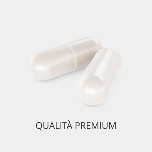 Zenzero 1500 mg 90 capsule (2)