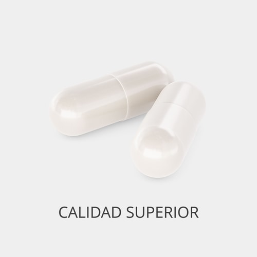 Jengibre 1500 mg 90 cápsulas (2)