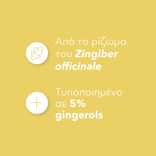 Τζίντζερ 1500 mg 90 κάψουλες (4)